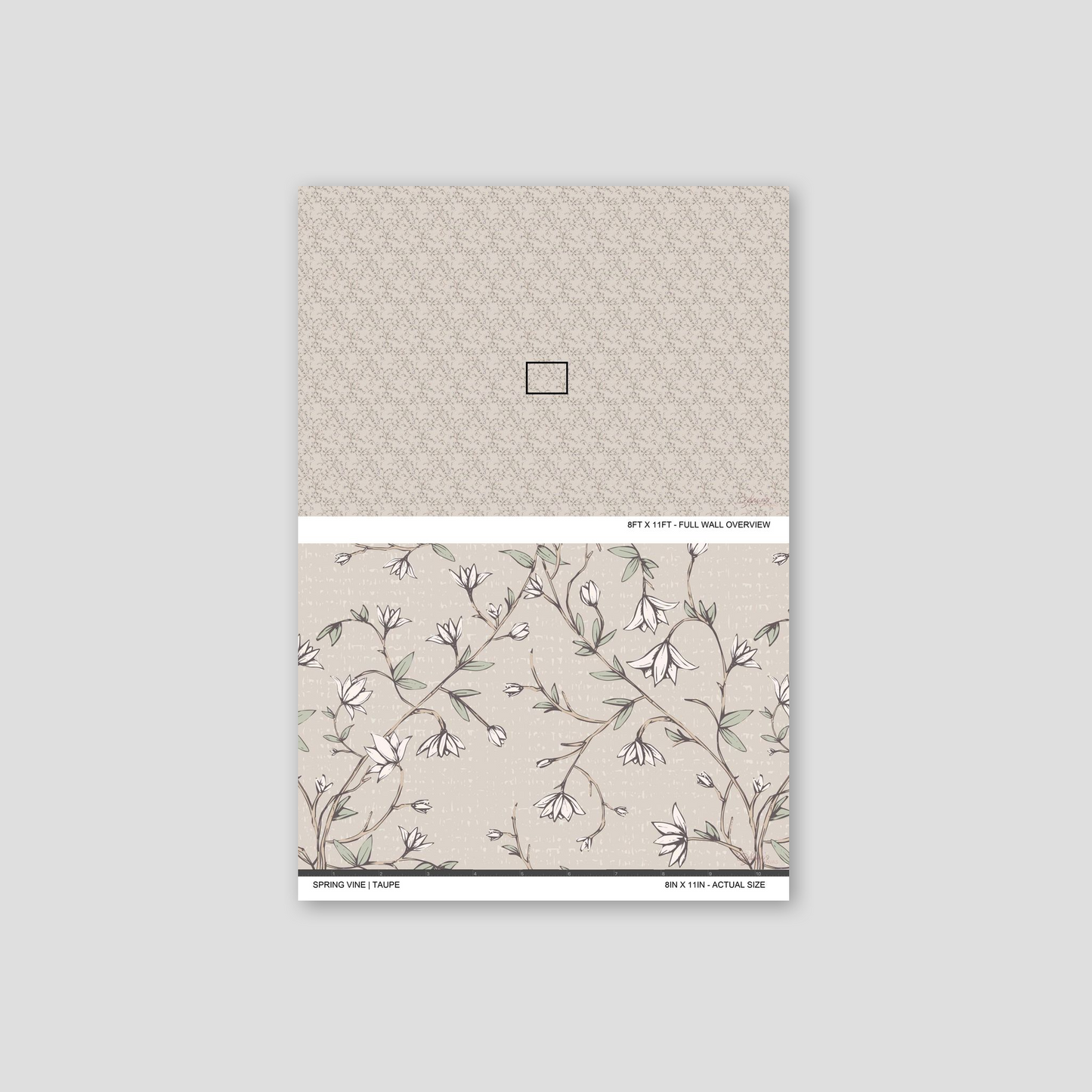Spring Vine Taupe wallpaper sample showing the full wall scale and an actual-size view of the delicate floral vine design.