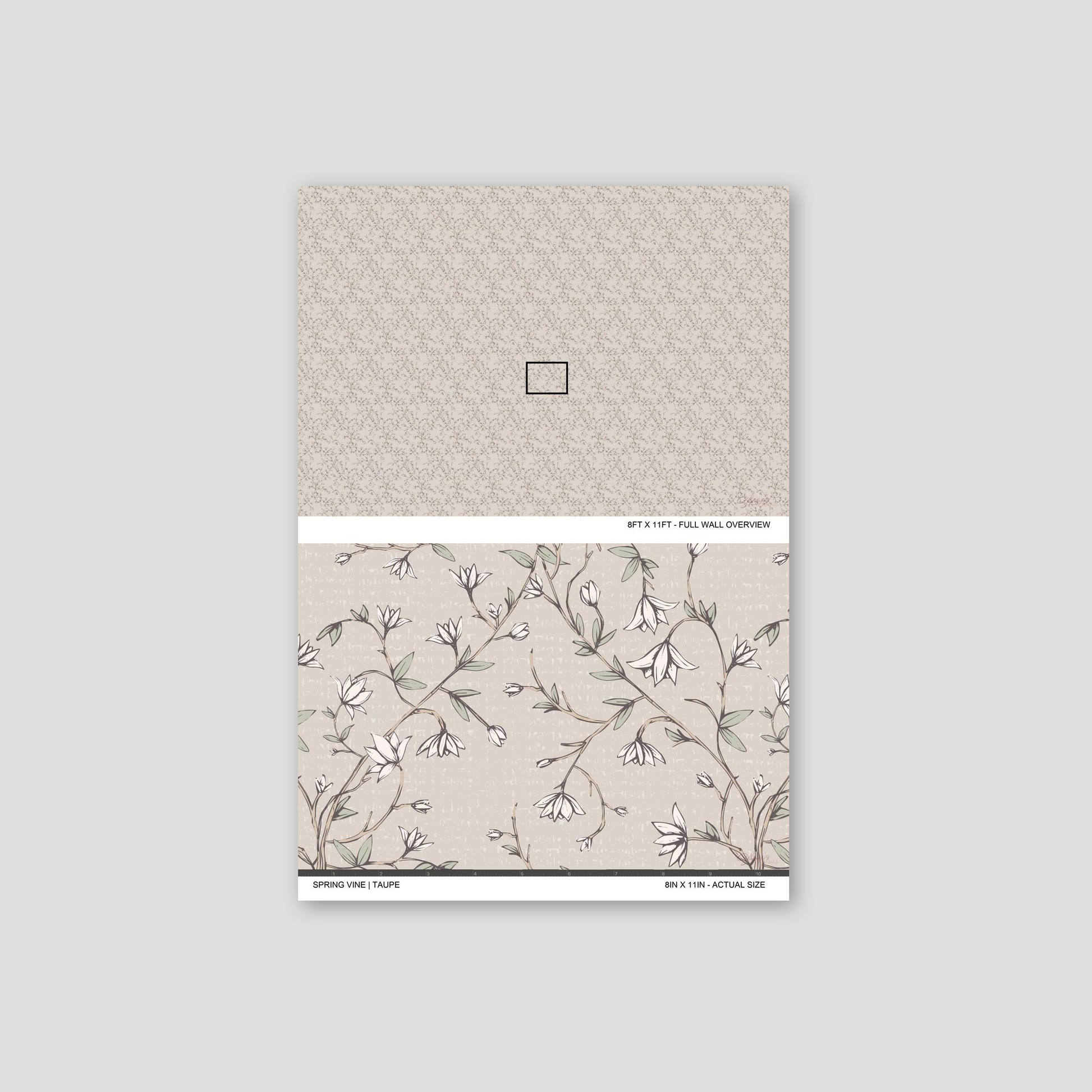 Spring Vine Taupe wallpaper sample showing the full wall scale and an actual-size view of the delicate floral vine design.