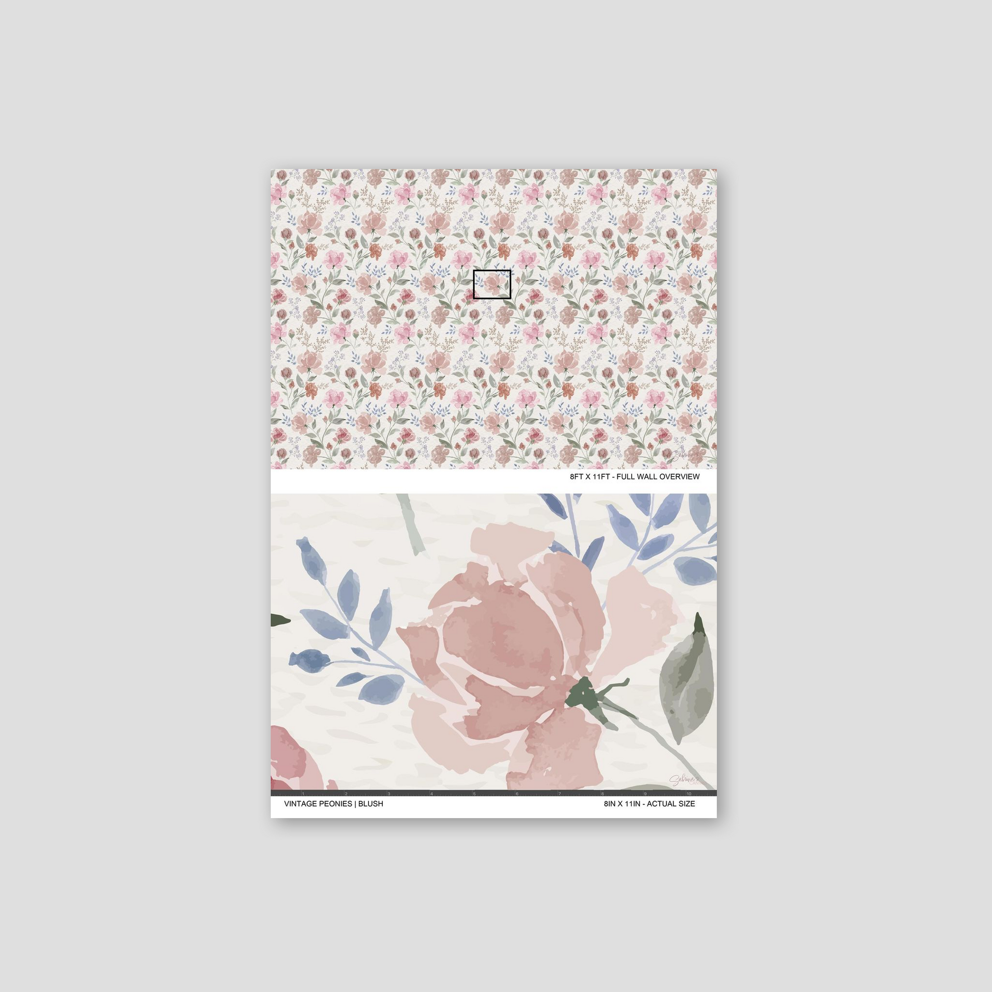 Vintage Peony Blush wallpaper sample showing the full wall scale and an actual-size view of the peony floral design.